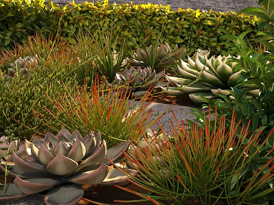Lush Shrubs In Sunlit Garden With Succulents Orange Grass And Stone Pathway 3d model