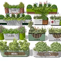 Various Bonsai Planter Designs With Logo And Green Flowering Plants