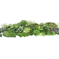 Lush Plant Combination With Assorted Green Foliage And Mixed Leaf Textures