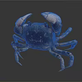 Detailed Brown Spotted Crab With Large Claws On Dark Shiny Background
