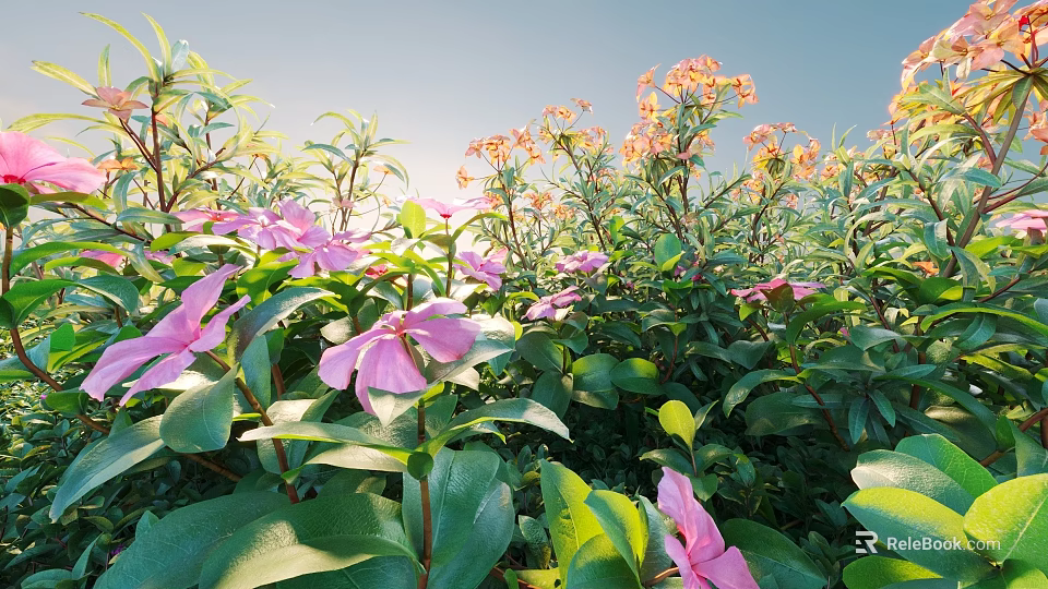 Vibrant Pink Flowers And Green Leafy Plants In Sunlight With Blue Sky Background 3d model 