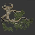 Pine Tree Branch with Twisted Trunk and Green Needles Isolated on Dark Background 3d model