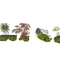 Diverse Plant Combinations For Garden Landscape With Mixed Greenery And Shrubs