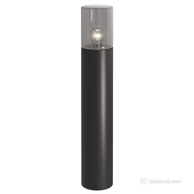Sleek Black Cylindrical Floor Lamp With Transparent Glass Shade And Exposed Bulb 3d model 