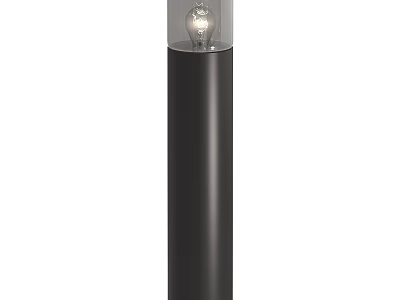 Sleek Black Cylindrical Floor Lamp With Transparent Glass Shade And Exposed Bulb 3d model