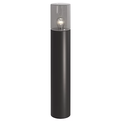 Sleek Black Cylindrical Floor Lamp With Transparent Glass Shade And Exposed Bulb 3d model