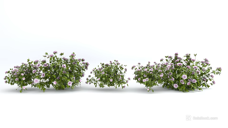 Lush Green Flowering Bushes With Purple Blooms In Garden Setting 3d model 