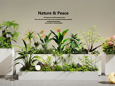 Assorted Indoor Plant Combination With White Planters And Nature Peace Greenery 3d model
