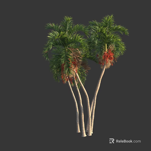 Tall Palm Trees with Green Fronds Red Fruits and White Trunks 3d model 