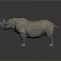 Rhino With Two Horns Standing On Gray Background Showing Detailed Body Structure
