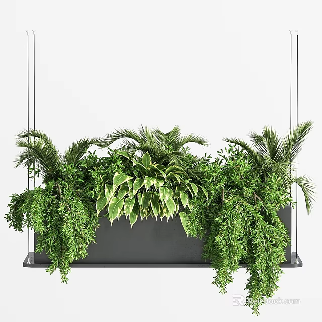 Lush Green Hanging Garden Ornament With Mixed Foliage And Suspended Planter Design 3d model 