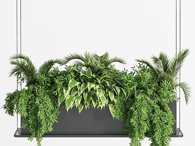 Lush Green Hanging Garden Ornament With Mixed Foliage And Suspended Planter Design 3d model