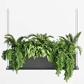 Lush Green Hanging Garden Ornament With Mixed Foliage And Suspended Planter Design