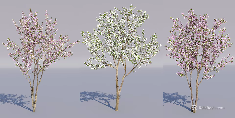 Three Flowering Trees With White And Pink Blossoms And Shadows On Gray Background 3d model 