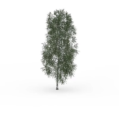 Single Green Tree Standing Tall Against Plain White Background in Isolated Scene 3d model