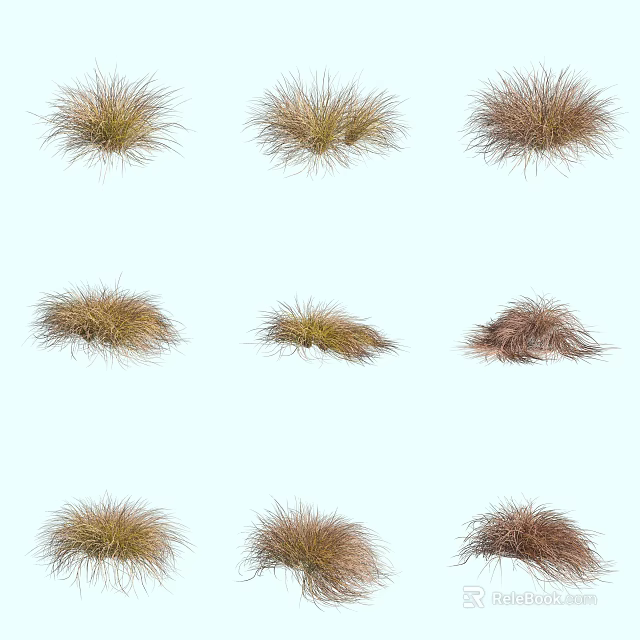Various Grass Clusters With Different Shapes And Tones On Light Blue Background 3d model
