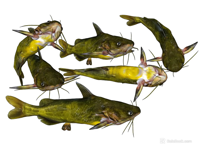 Aquatic Animals Featuring Freshwater Catfish with Yellow Bellies Green Bodies and Whiskers 3d model 