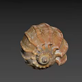 Colorful Textured Spiral Seashell With Shiny Orange And White Patterns 3d model