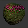Vibrant Tropical Fruit With Green Textured Skin And Pink Protrusions On Dark Background