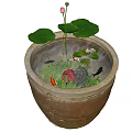 Terracotta Container Water Garden With Pink Water Lily And Lily Pads