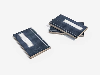 Three Dark Cover Books With White Rectangular Labels on Their Covers 3d model