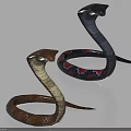 Two Coiled Snakes With Distinctive Head Shapes And Different Colored Scales On White Background