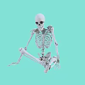 Detailed Human Anatomical Skeleton Model as Medical Device for Training and Education