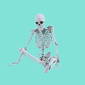 Modern Skeleton 3d model