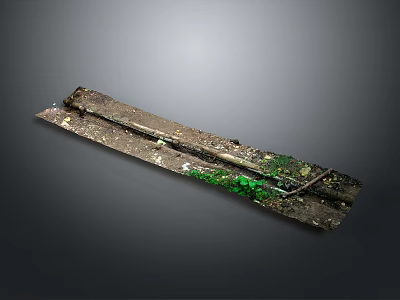 Wood And Stone Decorative Long Piece With Green Spots Surface Texture For Home Decor 3d model