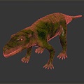 Modern Crocodile Fassora Alligator Alligator Nile Alligator 3d model