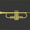 Shiny Golden Brass Trumpet Musical Instrument For Home Decor