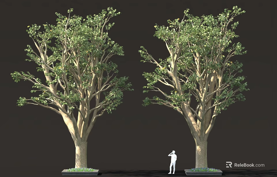 Two Tall Trees With Green Leaves And Standing Person On Dark Background 3d model 