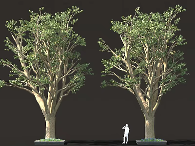 Two Tall Trees With Green Leaves And Standing Person On Dark Background 3d model