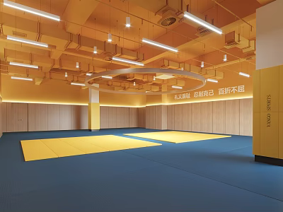 Spacious Martial Arts Training Area With Yellow Mats Blue Flooring And Wooden Walls 3d model