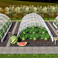 Garden Landscape Featuring Transparent Greenhouses With Watermelon And Vegetable Plants Pathway And Grass