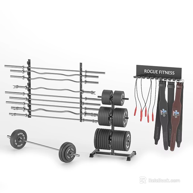 Rogue Fitness Gym Equipment Including Barbell Weight Plates Rack Jump Ropes And Belts 3d model 