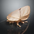 Golden Flying Cicada With Geometric Textured Shiny Surface On Dark Background With Reflection 3d model
