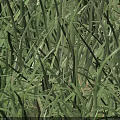 Two Reptiles Moving And Resting On Lush Green Grass Near Stones