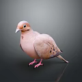 Pinkish Brown Flying Animal Dove with Spotted Feathers Standing on Smooth Gray Background