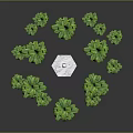 Green Palm Trees With Brown Trunks And Lush Green Leaves Surrounding White Cube