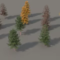 Various Colored Trees With Slender Trunks And Conical Crowns On Grey Background