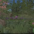 Pink Flowers and Purple Lotus in Lush Green Grass with Rocks Trees and Blue Sky