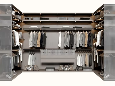 Modern Walk In Wardrobe Design With Hanging Rails Storage Drawers And Shelves 3d model