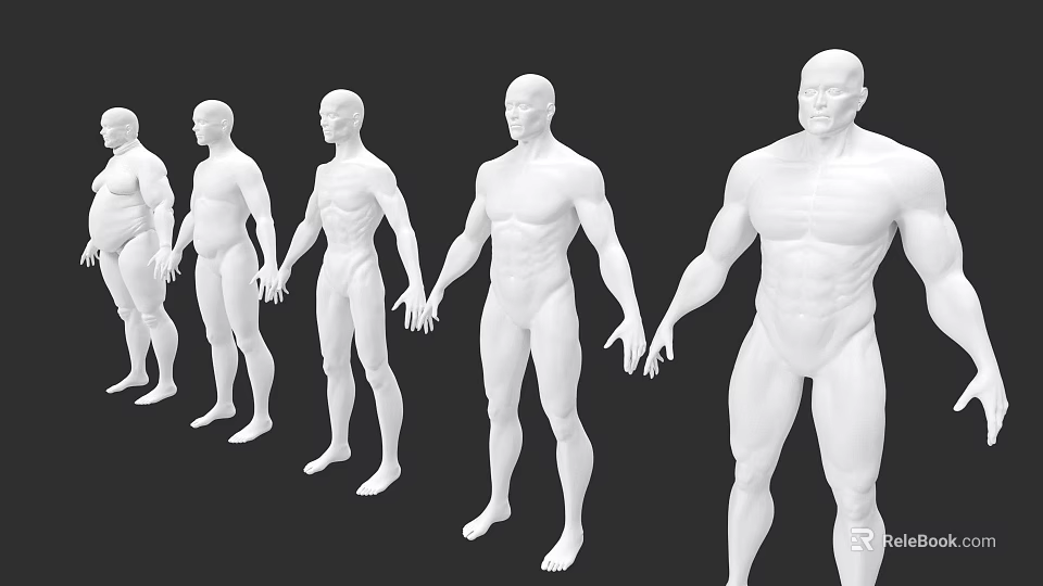 Multiple White Male Mannequins Arranged in Sequence Showing Progressively Muscular Body Types 3d model 