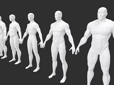 Multiple White Male Mannequins Arranged in Sequence Showing Progressively Muscular Body Types 3d model