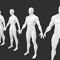Multiple White Male Mannequins Arranged in Sequence Showing Progressively Muscular Body Types