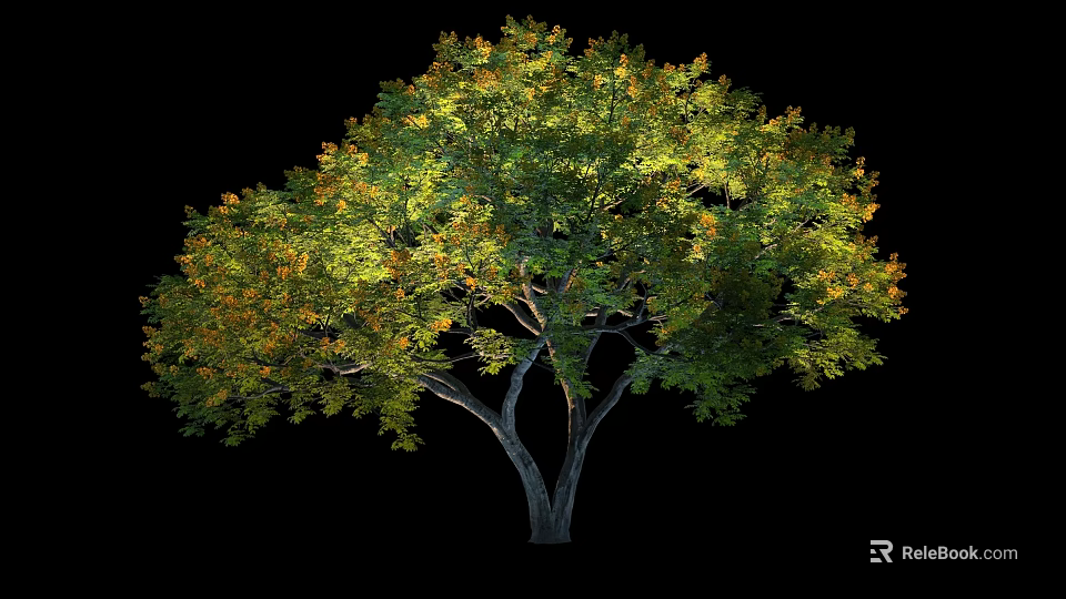 Lush Arbor With Double Trunk And Green Yellow Leaves In Black Background 3d model 