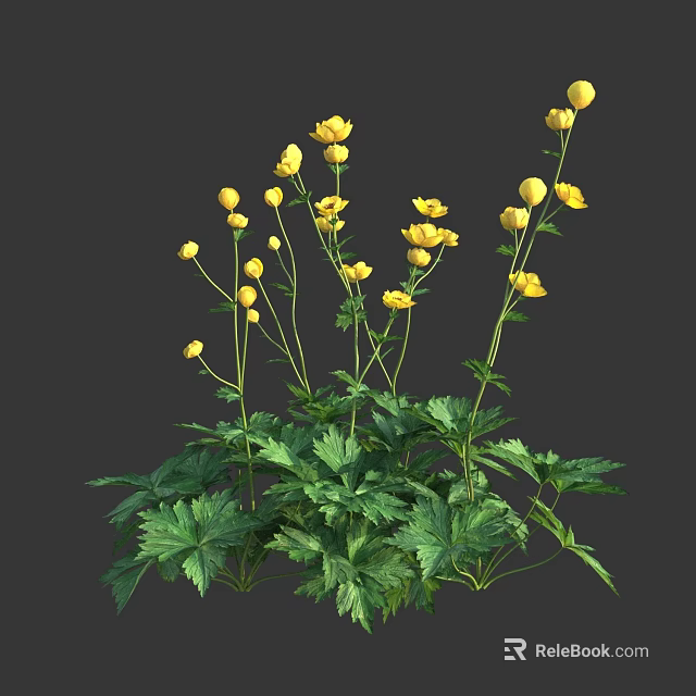 Beautiful Fresh Yellow Flowers with Green Leaves and Tall Natural Stems 3d model 