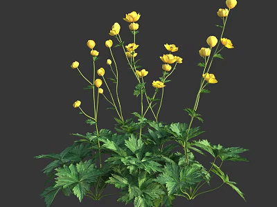 Beautiful Fresh Yellow Flowers with Green Leaves and Tall Natural Stems 3d model