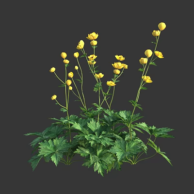Beautiful Fresh Yellow Flowers with Green Leaves and Tall Natural Stems 3d model